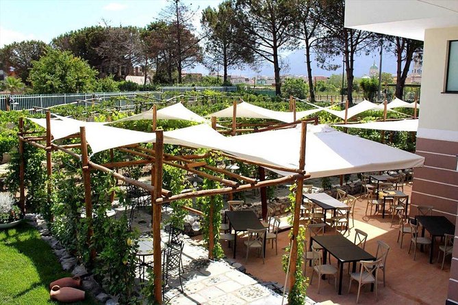 Pompeii & Vesuvius With Wine Tasting From the Coast - Cancellation and Booking Policy