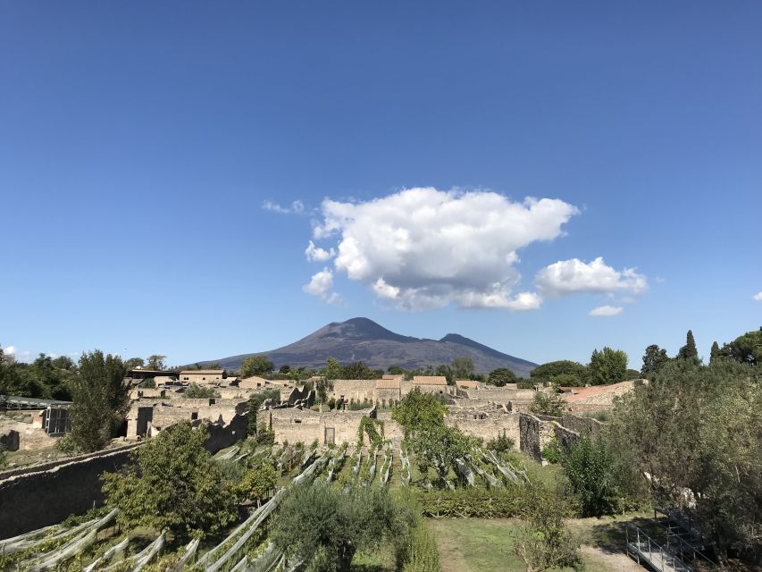 Pompeii: VIP Tour With an Archaeologist Plus Entry Tickets - Pricing and Duration
