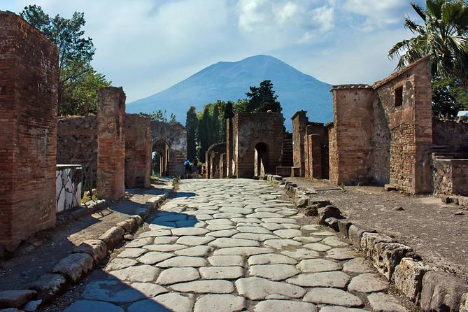 Pompeii Walking Tour With a Licensed Guide - Inclusions