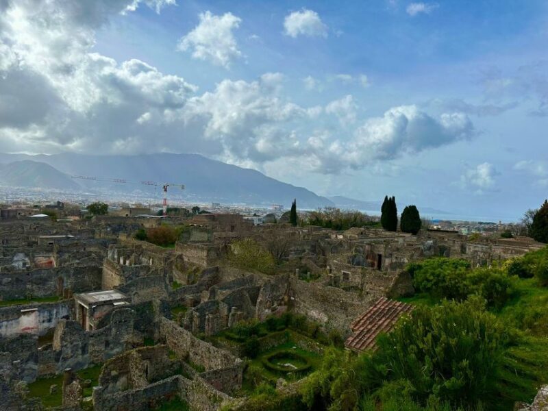 Pompeii: walking tour with an archeological guide - Final Thoughts on Value