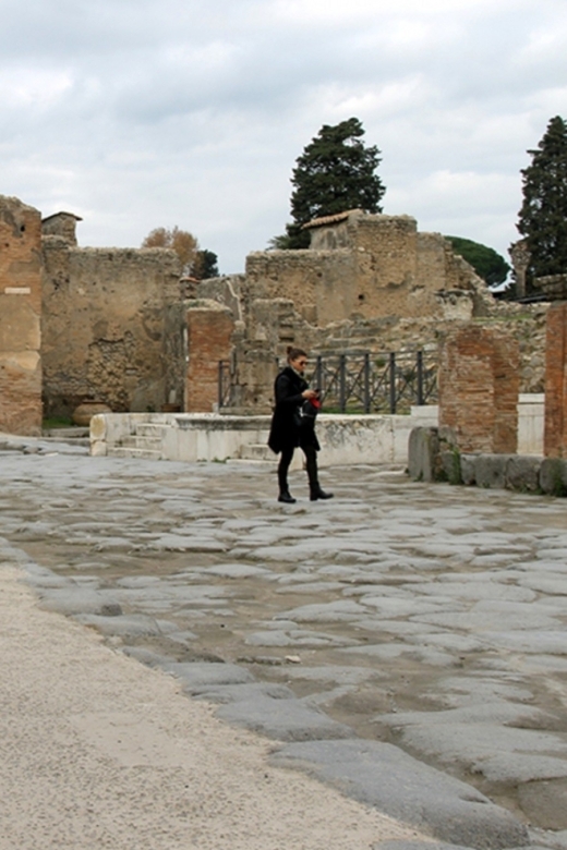 Pompeii Wheelchair Accessible Private Tour - Key Points