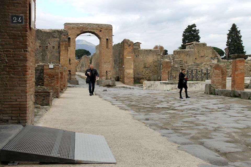Pompeii Wheelchair Accessible Private Tour - Customer Review