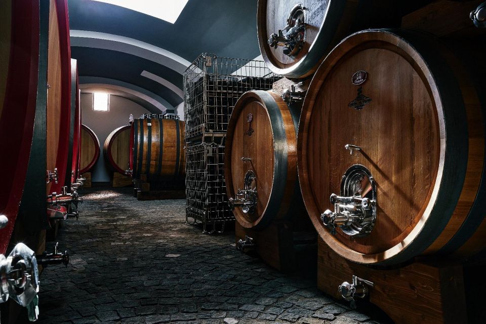 Pompeii & Wine Tasting From Naples - Scenic Van Transfer to Pompeii