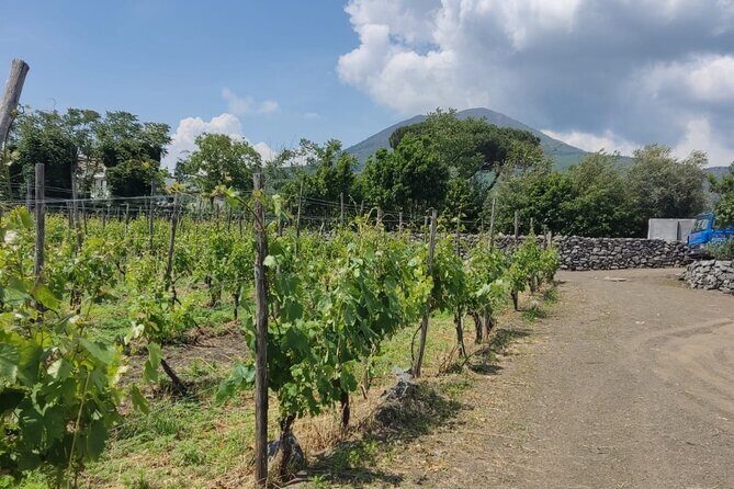 Pompeii & Wine Tasting: Private Day Tour from Naples - Final Thoughts