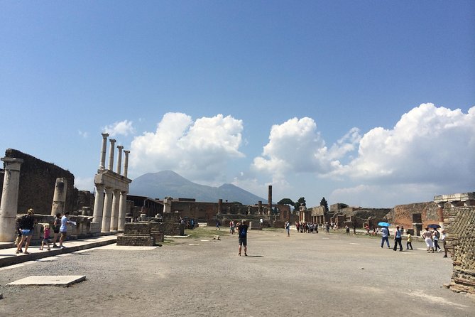 Pompeii-Wine Tasting Tour From Sorrento, Licensed Guide Included - Additional Information