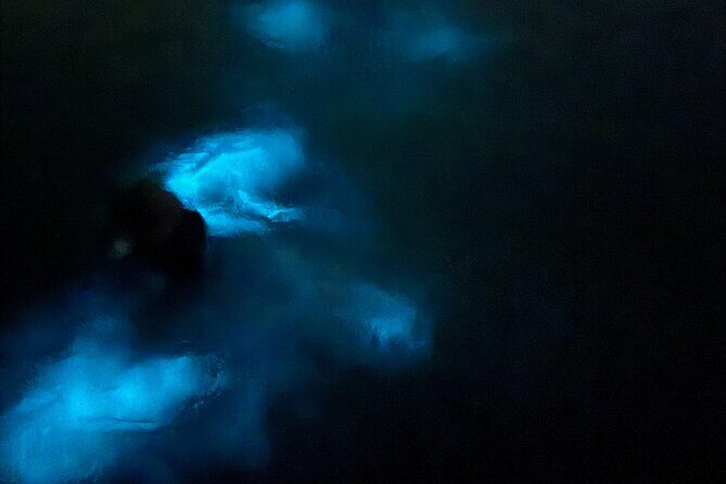 Ponce, Yauco, La Parguera & BioBay Full Day Experience - Analyzing the Value and Experience