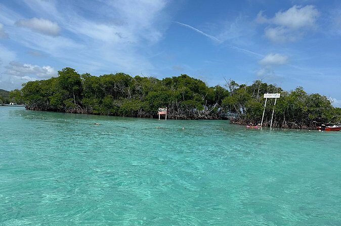 Ponce, Yauco, La Parguera & BioBay Full Day Experience - The Sum Up: Is This Tour for You?