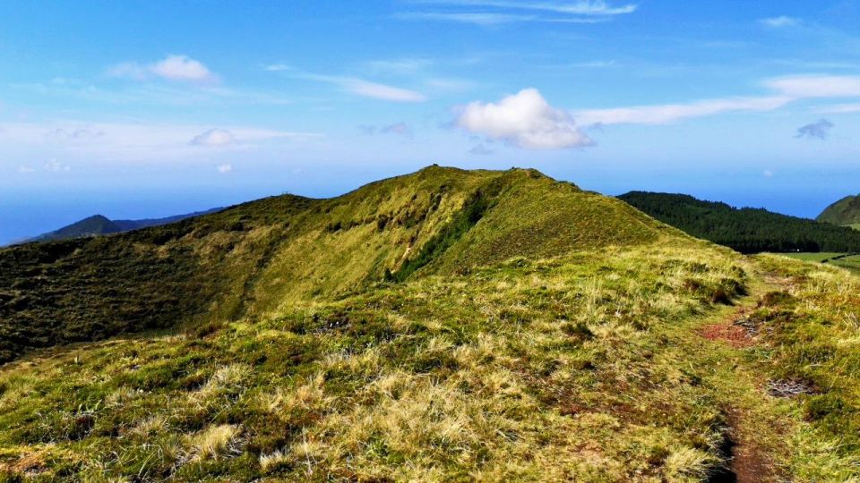 Ponta Delgada: 2-Hour Guided Walk Along the Serra Devassa - Customer Reviews