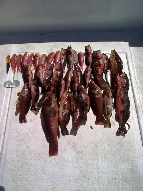 Ponta Delgada: 4-hour Half-Day Sport Fishing Adventure - Included Features