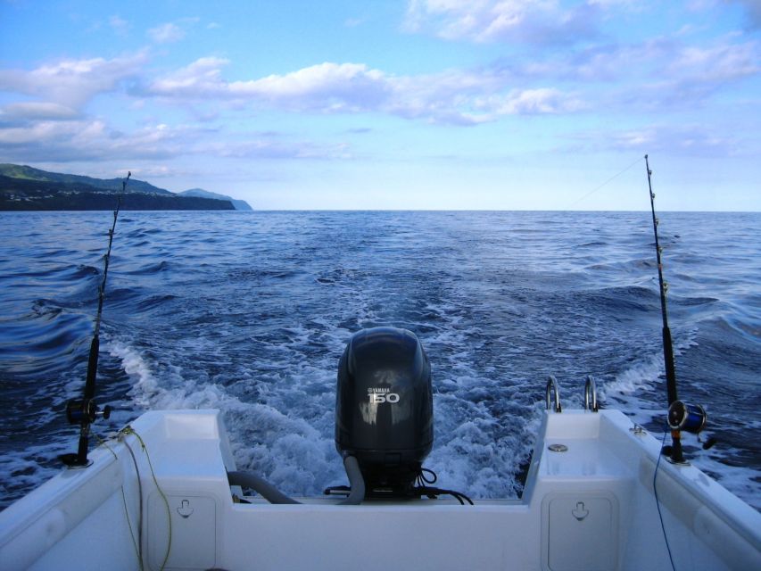 Ponta Delgada: 4-hour Half-Day Sport Fishing Adventure - Deep Sea Fishing Opportunities
