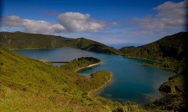 Ponta Delgada: Apiary Guided Tour - An In-Depth Look at the Tour