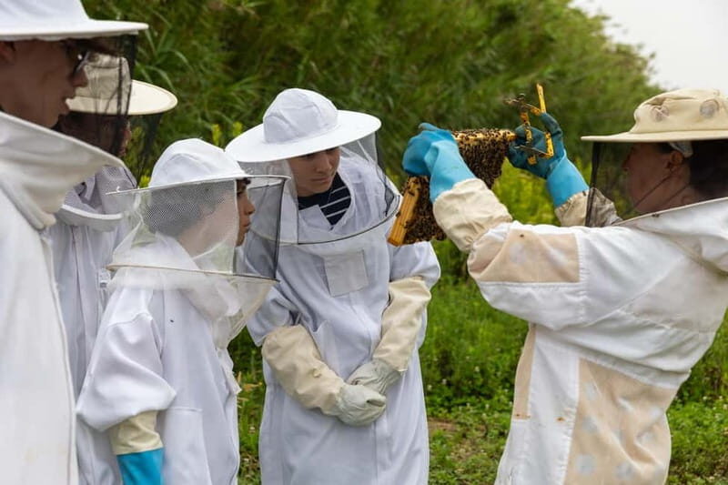 Ponta Delgada: Apiary Guided Tour - Final Thoughts