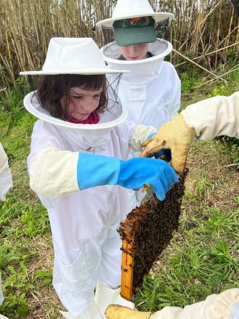 Ponta Delgada: Apiary Guided Tour - FAQ