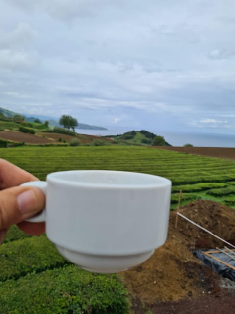Ponta Delgada: Beauties of São Miguel Island Private Tour - Key Points