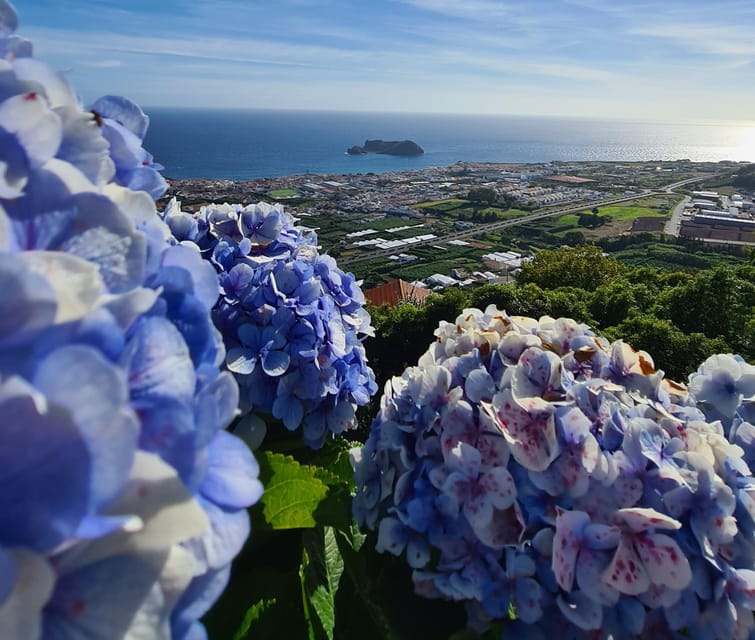 Ponta Delgada: Beauties of São Miguel Island Private Tour - Final Thoughts