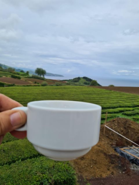 Ponta Delgada: Beauties of São Miguel Island Private Tour - Key Points