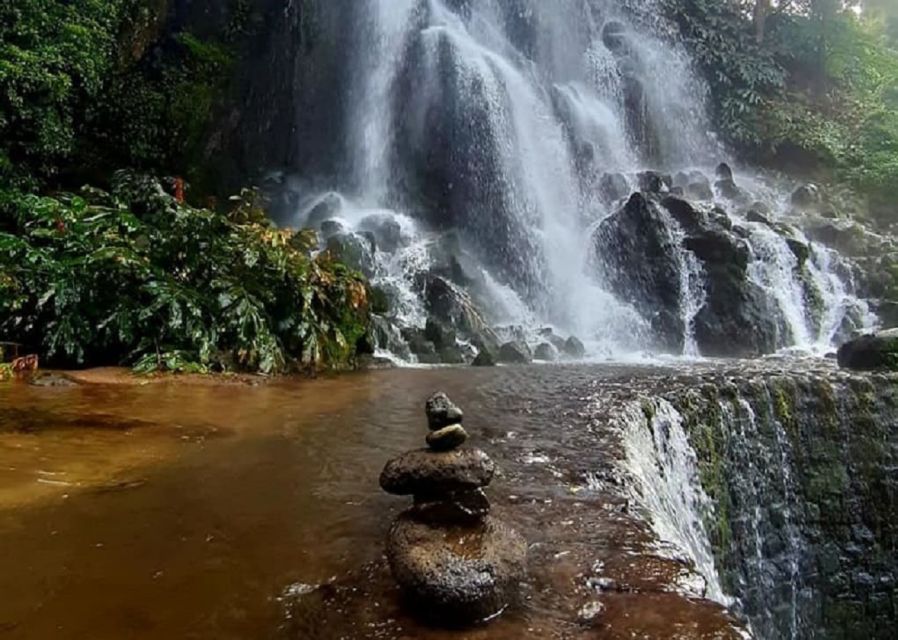 Ponta Delgada: East Circle, Furnas Volcano, & Northeast Tour - Additional Fees (Optional)