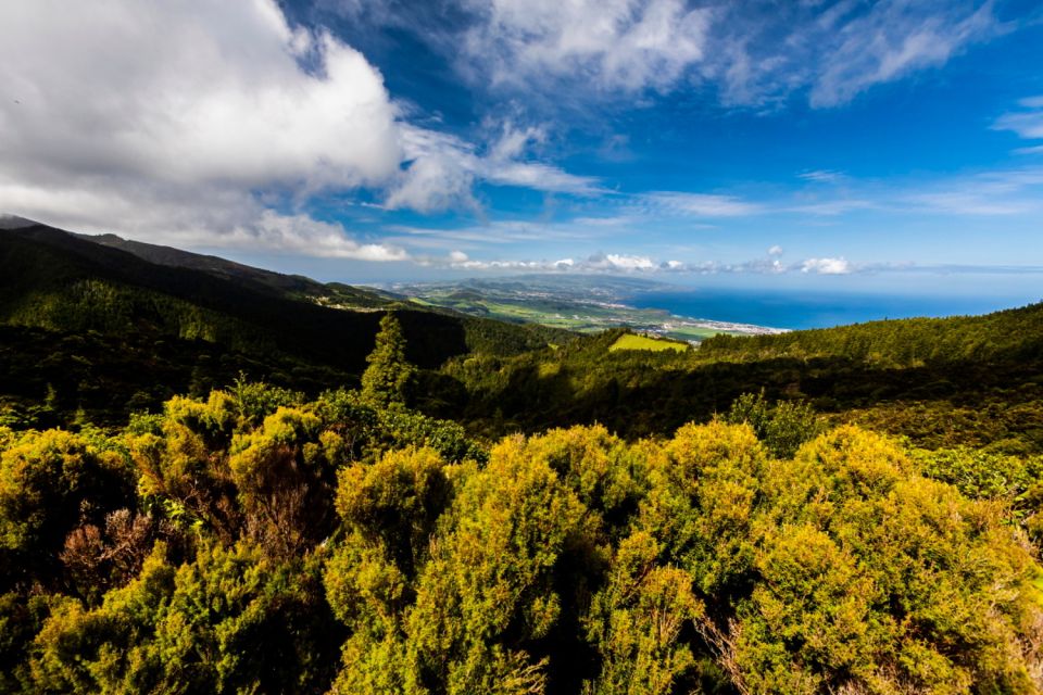 Ponta Delgada: Hidden Gems of São Miguel Full-Day Van Tour - Key Points