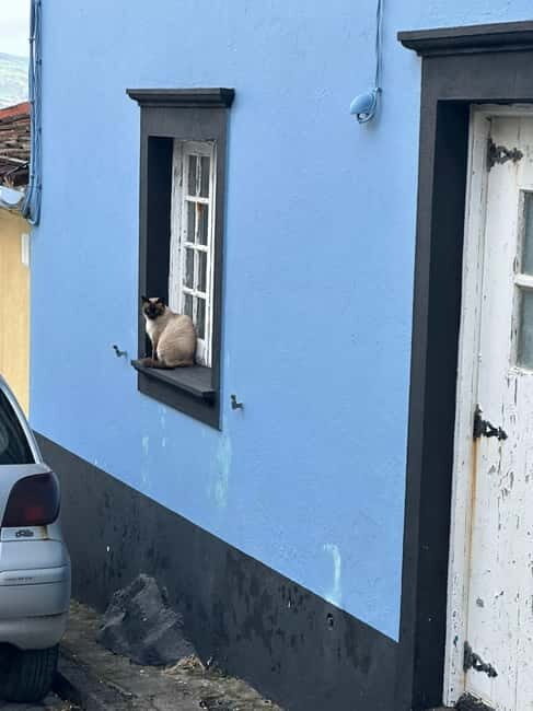 Ponta Delgada: Sete Cidades and Fenais da Luz Guided Trip - Who Is This Tour Best Suited For?