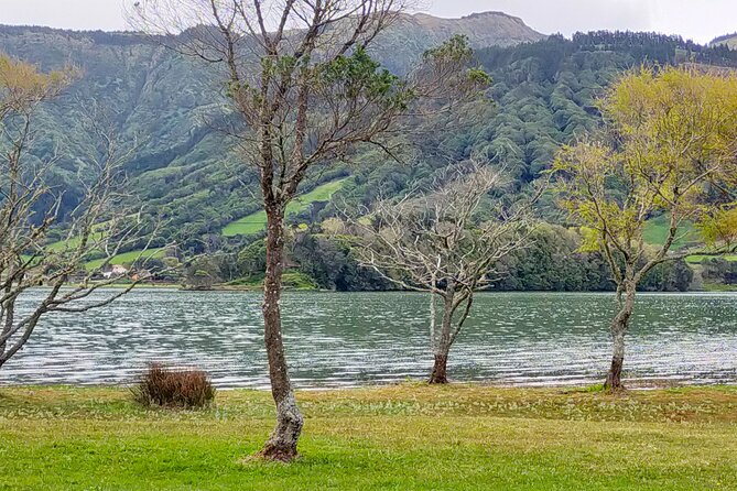 Ponta Delgada Sete Cidades Green & Blue Lakes - Small Group Tour - Pineapple Production and Tasting