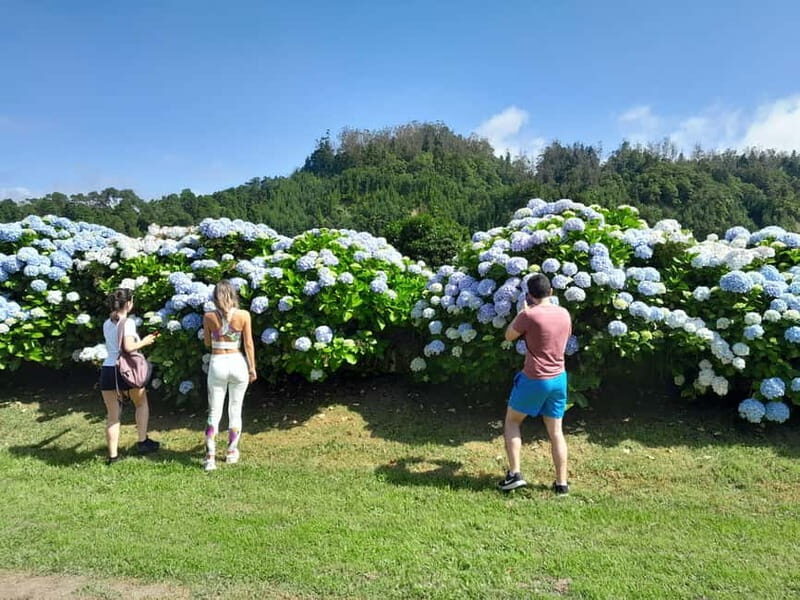 Ponta Delgada: Shore Excursion - The Blue & Green Lake - Key Points