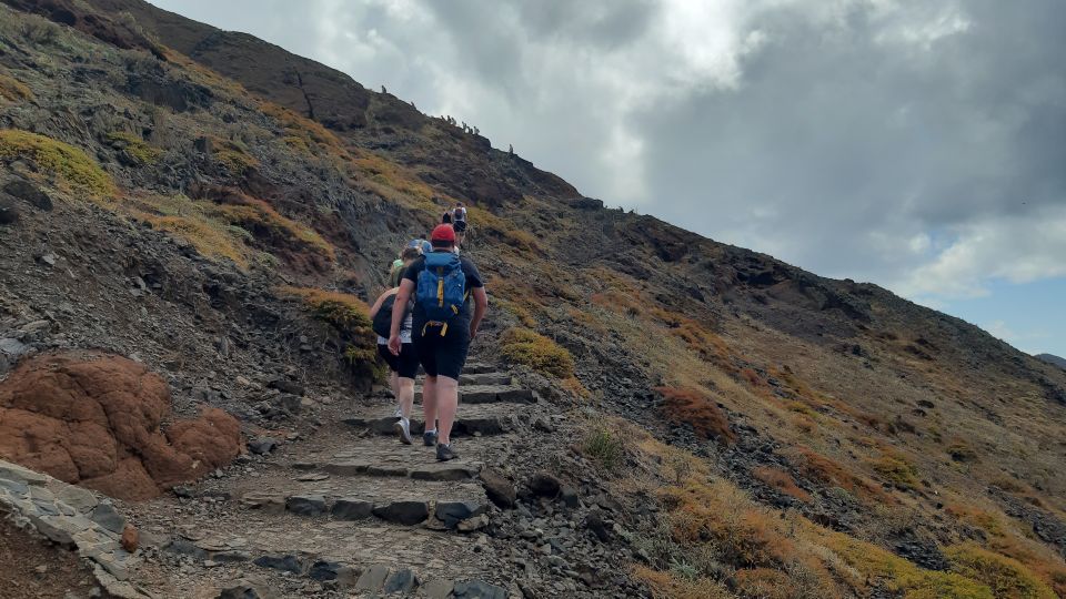 Ponta São Lourenço: Private Guided Walk PR8 - Volcanic Rock Formations