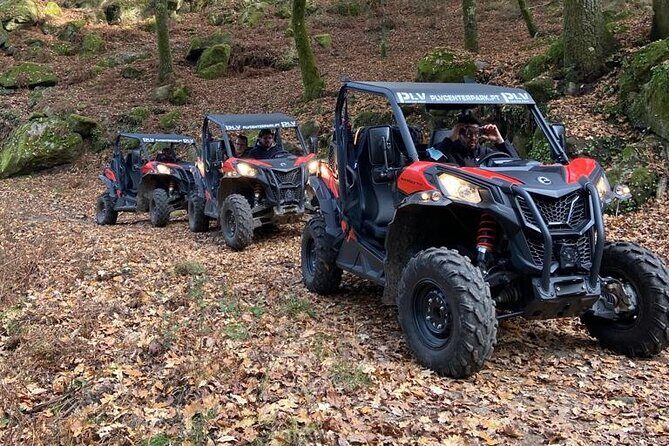 Ponte de Lima Guided Buggy Tour - The Itinerary and Experience Breakdown