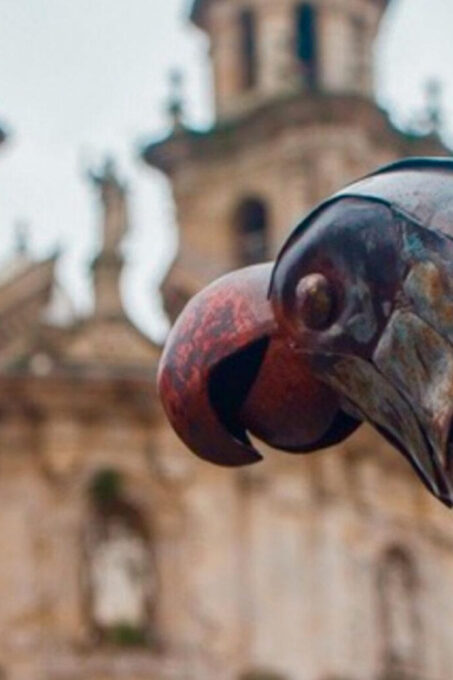 Pontevedra: A Bridge to the Past - A Private Tour - Customization Options