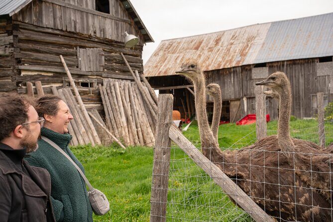 Pontiac Farm Tour - Day Trip From Ottawa & Gatineau - Key Points