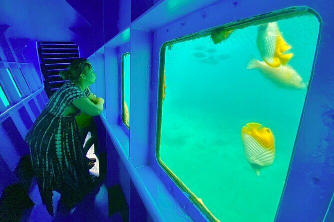 Ponton Day Trip SWIM with fishs All meals included & Transport - The Itinerary: What to Expect from Start to Finish