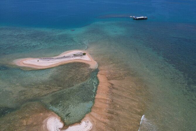 Ponton Day Trip SWIM with fishs All meals included & Transport - The Experience: What It Feels Like and Why It Matters