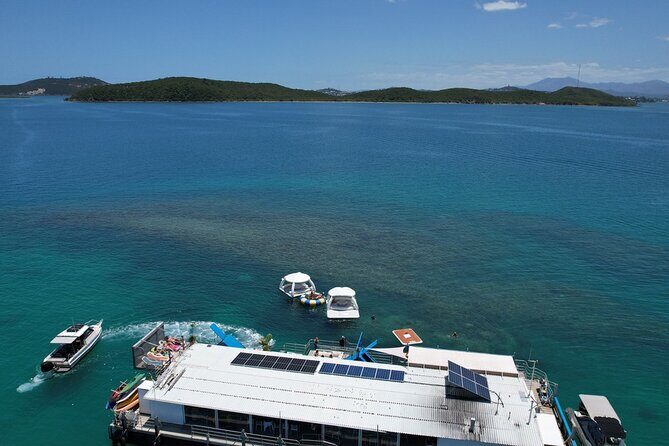 Ponton Day Trip SWIM with fishs All meals included & Transport - Final Thoughts: Is It Worth It?