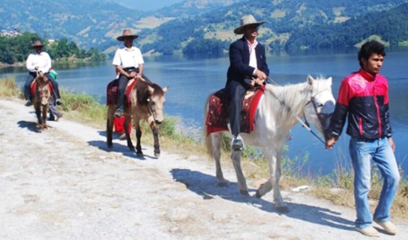 Pony Ride Adventure: Hike to Sarangkot From Pokhara - Activity Overview