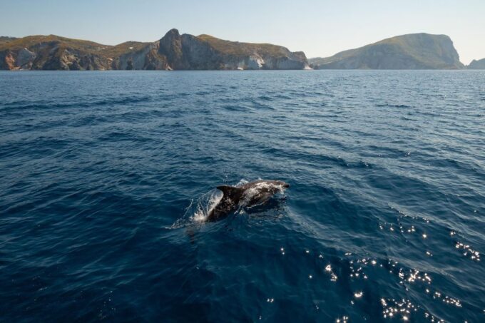 Ponza: Island & Palmarola Cruise With Swimming & Lunch - Accessibility Considerations