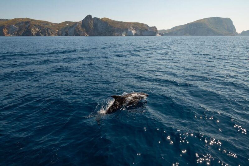 Ponza: Palmarola & Ponza Island Cruise With Swimming & Lunch - Itinerary and Highlights