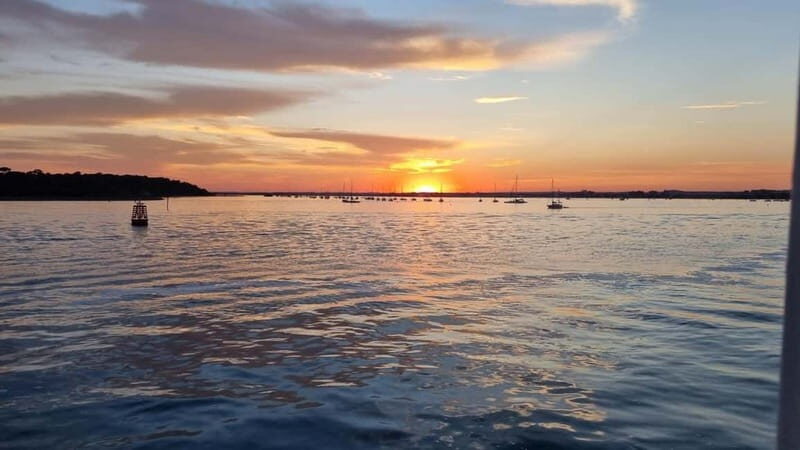 Poole: Fish and Chips Evening Cruise - The Sum Up
