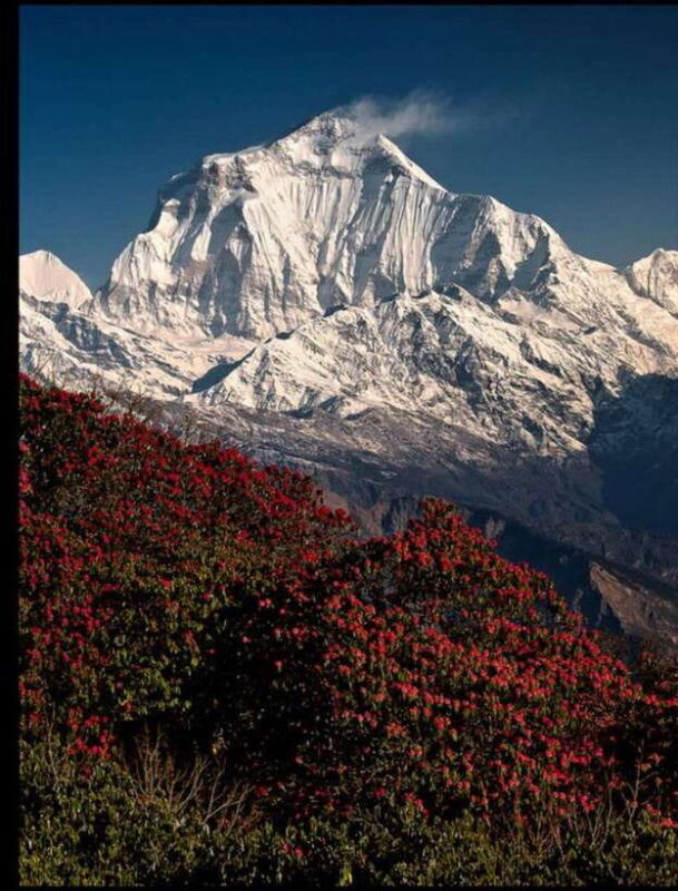 Poon-Hill and Ghandruk Trek- 7 Days - Key Points