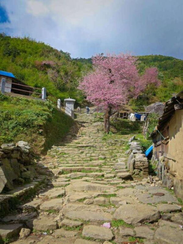 Poon-Hill and Ghandruk Trek- 7 Days - What Travelers Love About This Trek