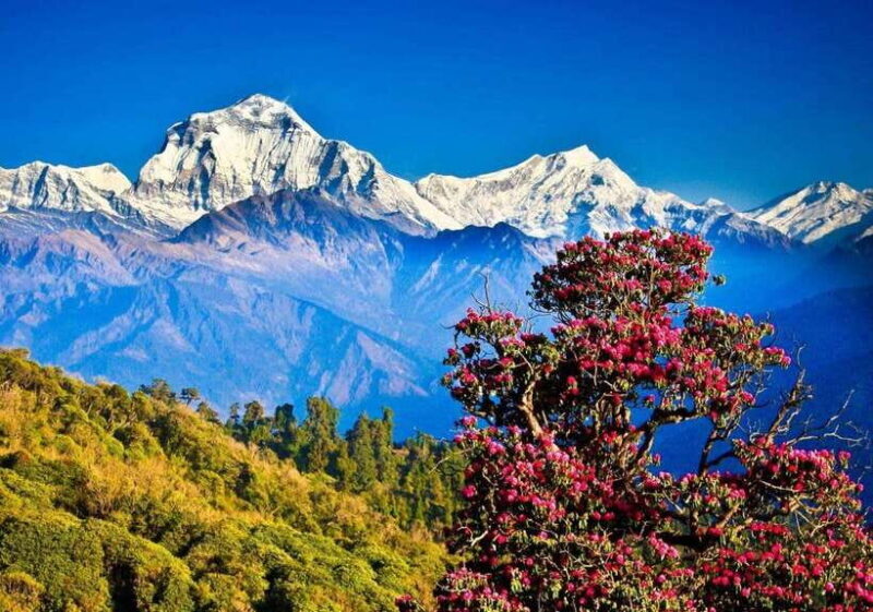 Poon-Hill Nepal - An Introduction to the Poon-Hill Trek Experience