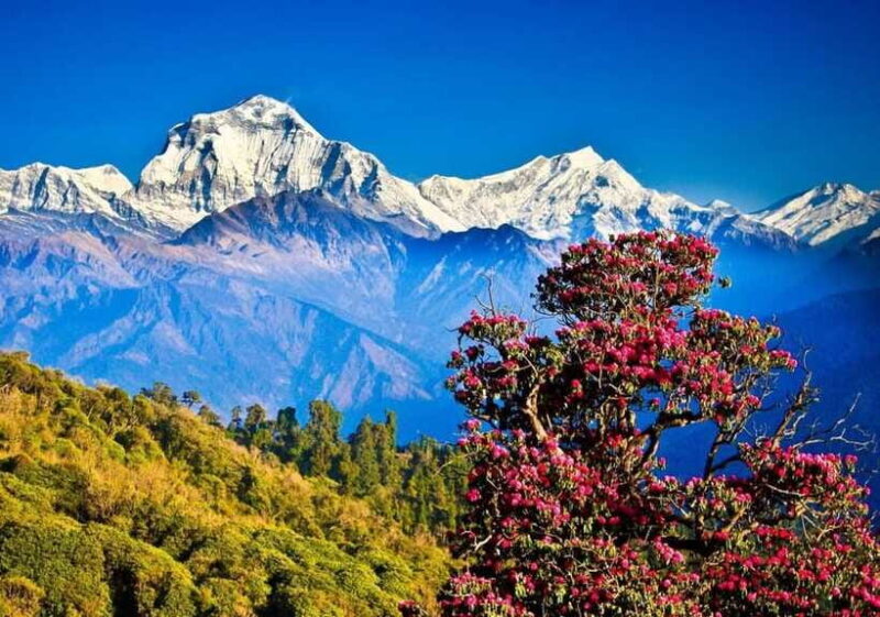 Poon-Hill Nepal - Final Thoughts: Who Should Consider This Trek?