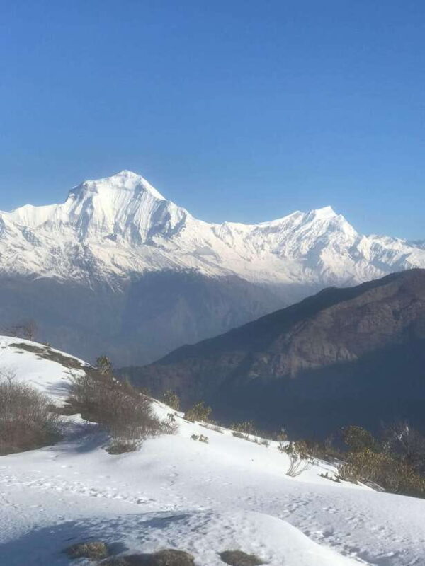 Poon hill Trek 1 Night 2 Days - Why Consider the Poon Hill Trek?