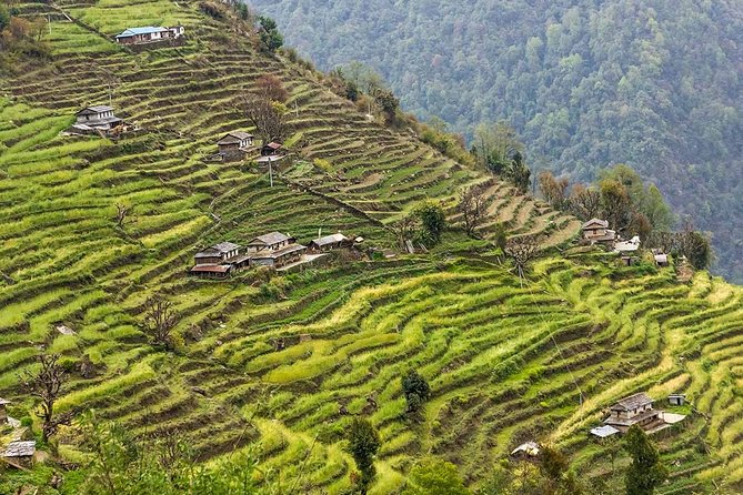 Poon Hill Trekking- a Day to Explore Nepal in a Short Time - Pricing and Cancellation Policy