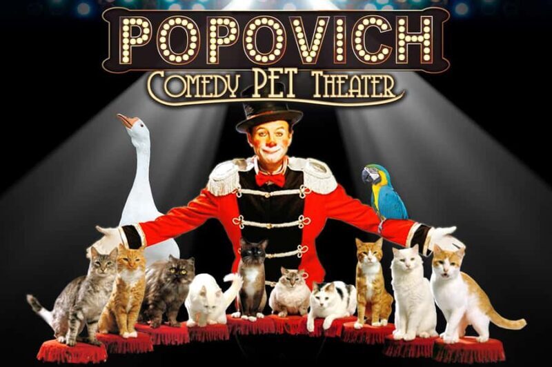 Popovich Comedy Pet Theater in Las Vegas - What to Expect at Popovich Comedy Pet Theater