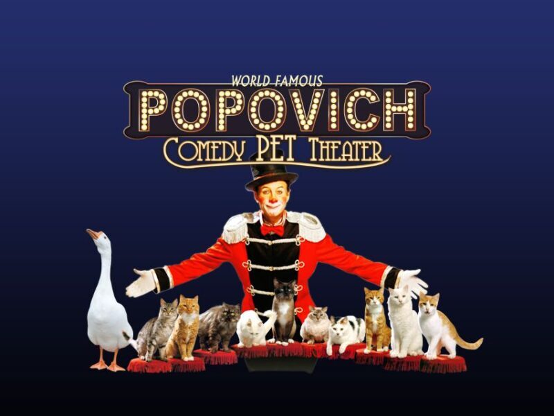 Popovich Comedy Pet Theater in Las Vegas - Key Points