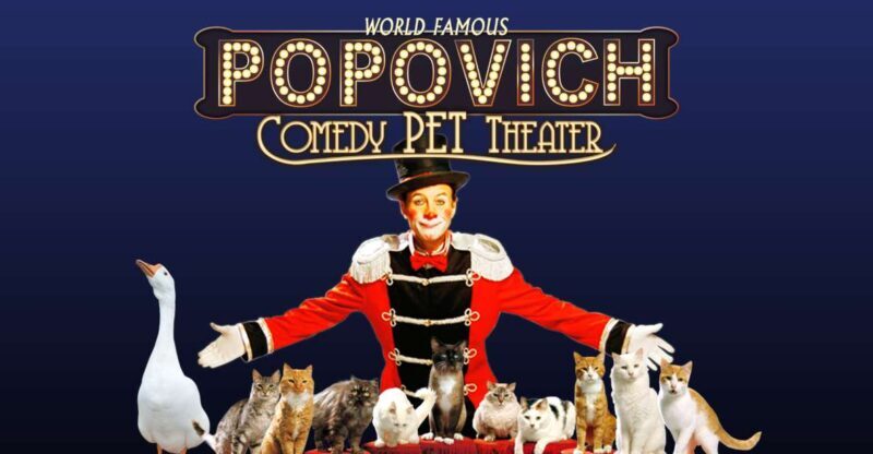 Popovich Comedy Pet Theater in Las Vegas - Final Thoughts