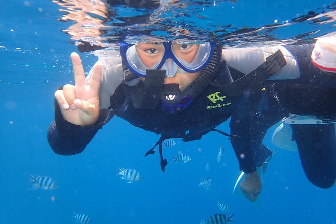 Popular Blue Cave Snorkel! [Okinawa Prefecture] Feeding & Photo Image Free! English, Chinese Guide Available! - Confirmation