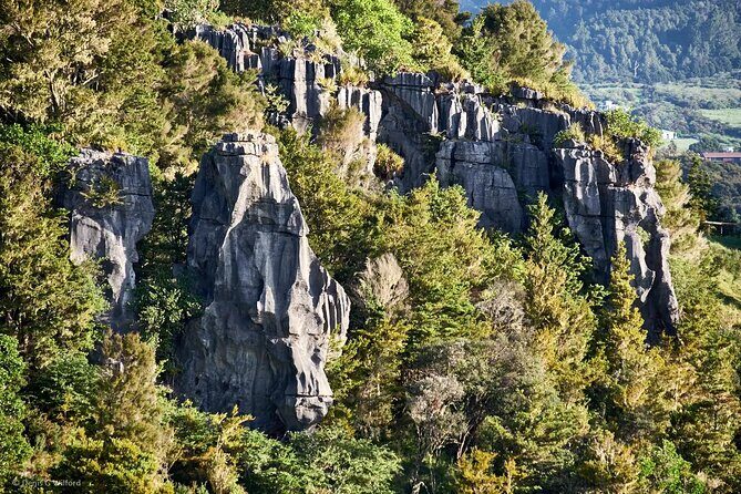 *Popular Tour* - Bay of Islands: Nature Adventure - 4hrs - Discovering the Tour Experience: What to Expect