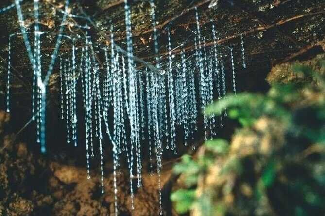 *Popular Tour* - Bay of Islands: Nature Adventure - 4hrs - The Experience in Review: What Travelers Say