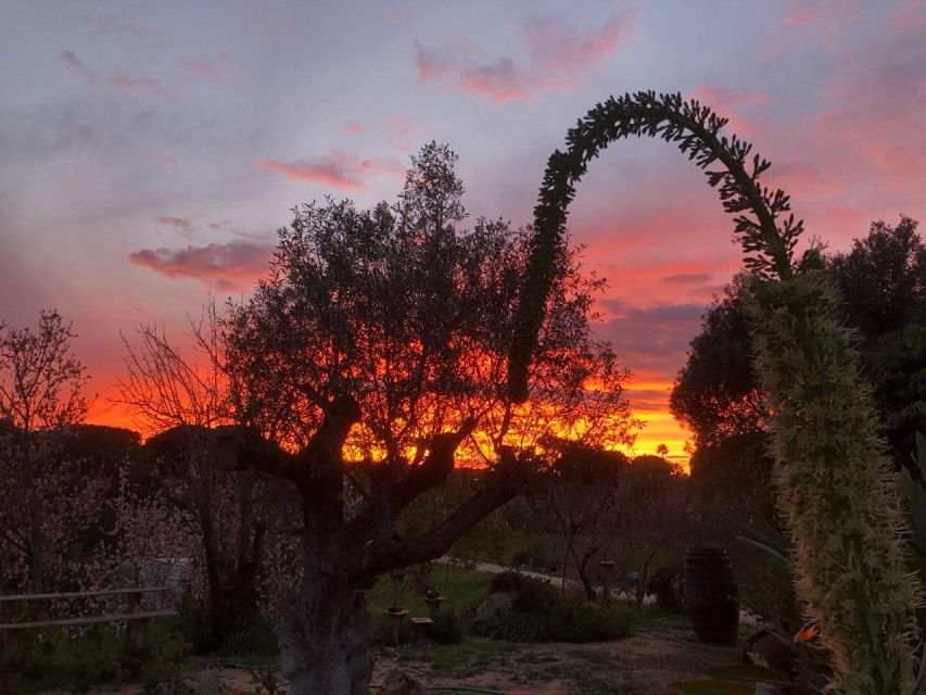 Porches: Sunset Wine Tasting With BBQ - Weather and Cancellation Policies