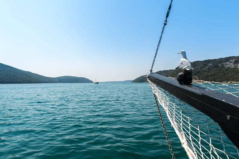 Pore: Boat Day Trip to Rovinj with or without Fish Lunch - The Itinerary in Detail: What You Can Expect